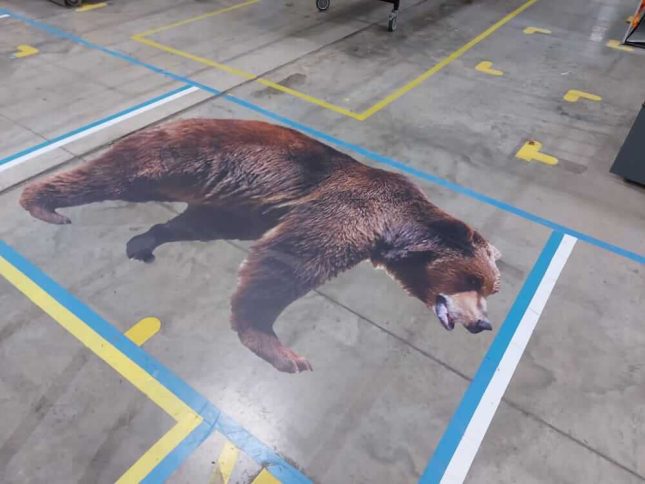 The Difference Between Temporary and Permanent Floor Graphics 3