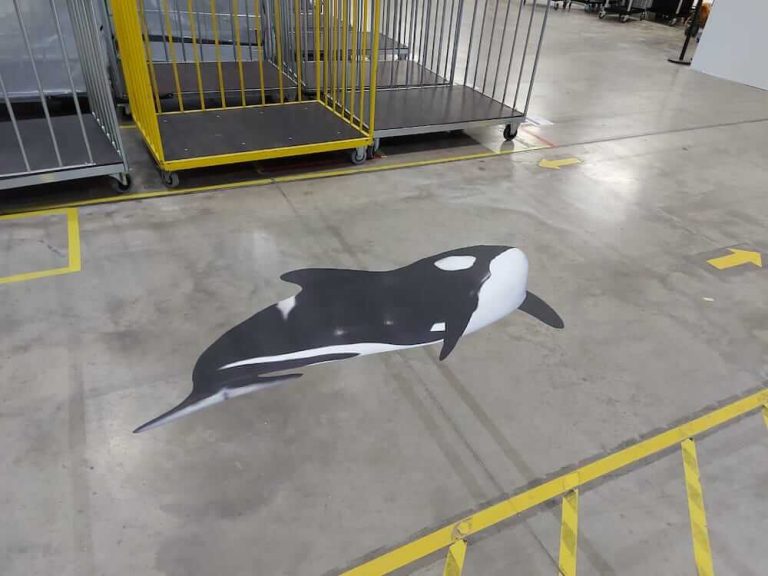 The Difference Between Temporary and Permanent Floor Graphics 1