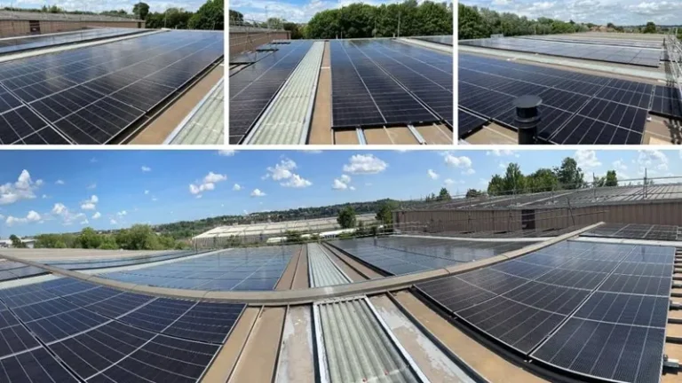 Wallace Print's array of 450 panels will pay for itself in three years