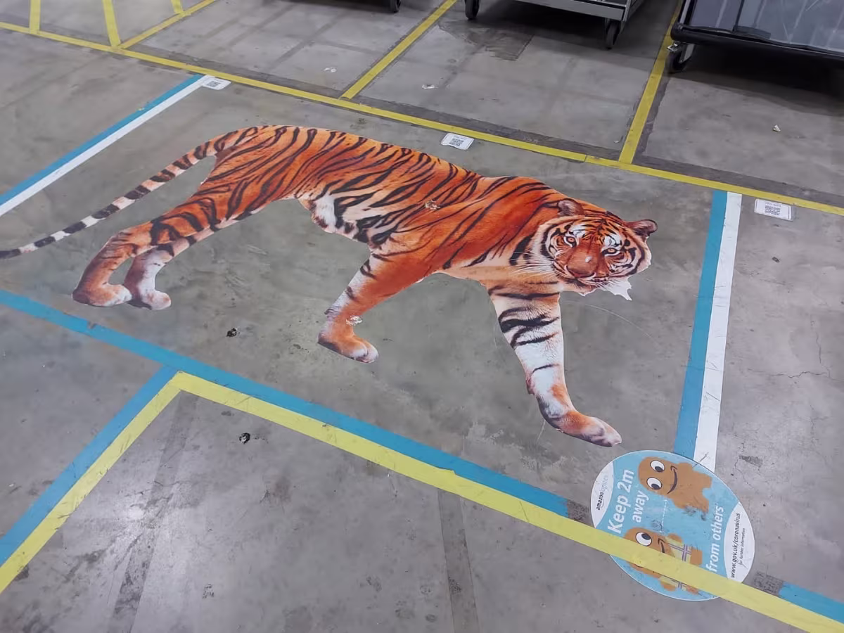 Printed internal wall vinyl featuring a bold tiger graphic on a dark background